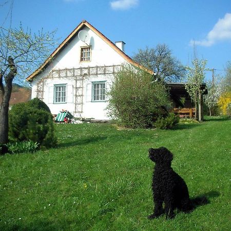 Beim Schachnerhaus Vila Pöllauberg Exterior foto