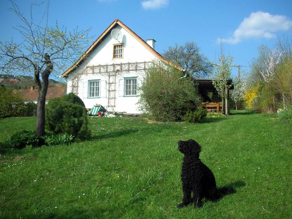 Beim Schachnerhaus Vila Pöllauberg Exterior foto